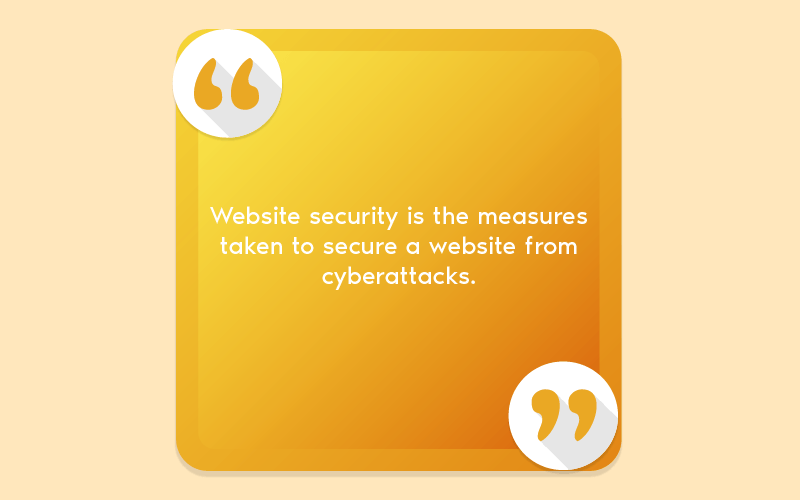 What is website security