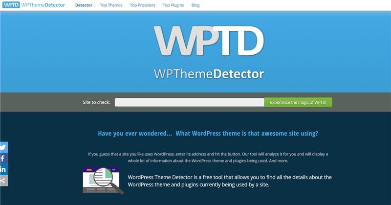 Wp theme detector