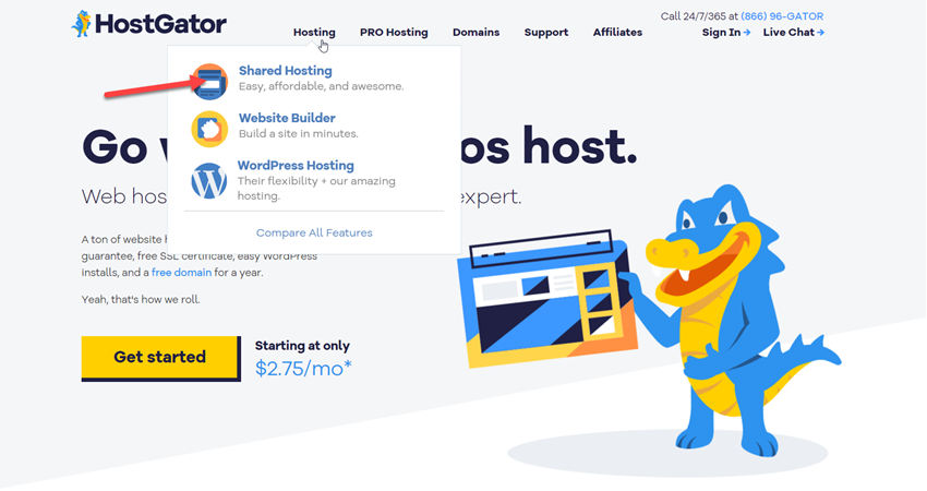 Hostgator shared hosting