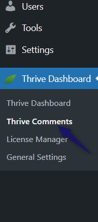 Thrive comments settings