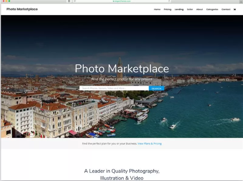 divi - Best Photography WordPress Themes