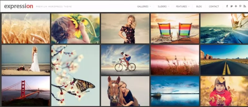 expression - Best Photography WordPress Themes