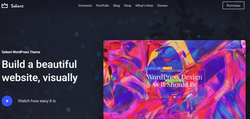 Salient - Best Portfolio WordPress Themes