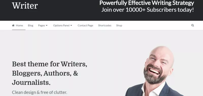 writer - best wordpress portfolio theme