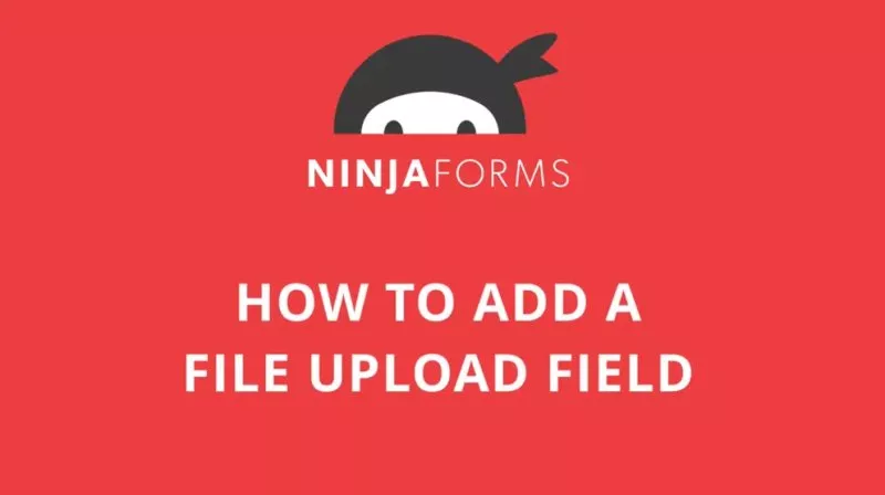 Ninja forms - file upload addon