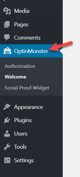 Optinmonster plugin settings