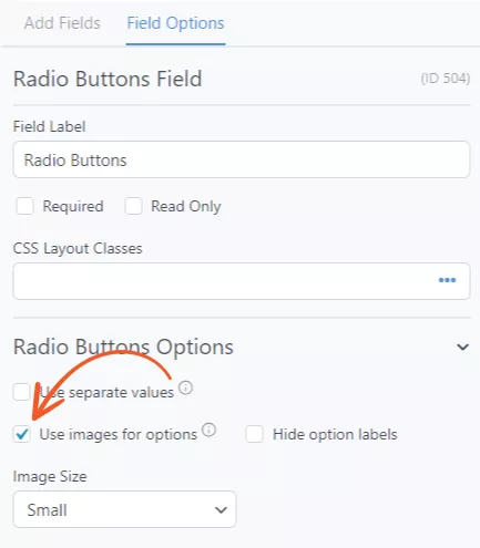 Radio button options
